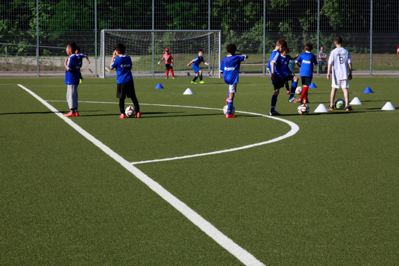  Naumann – Landschaft