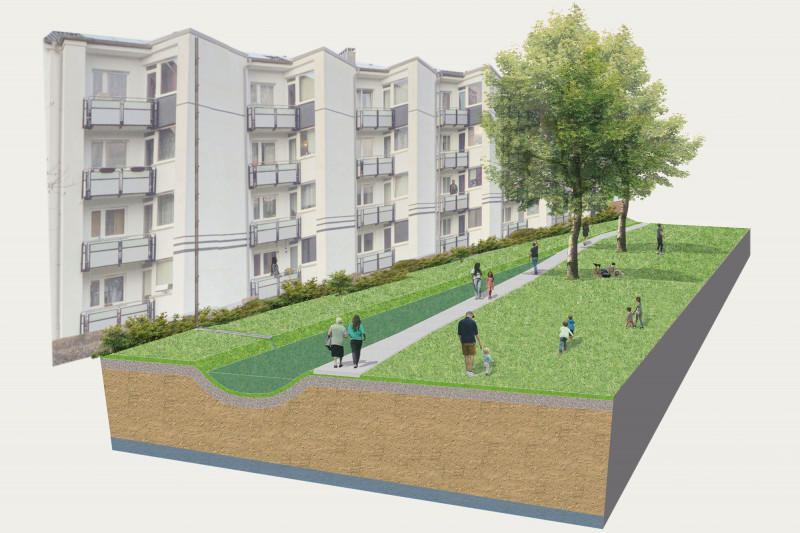  Naumann – Landschaft