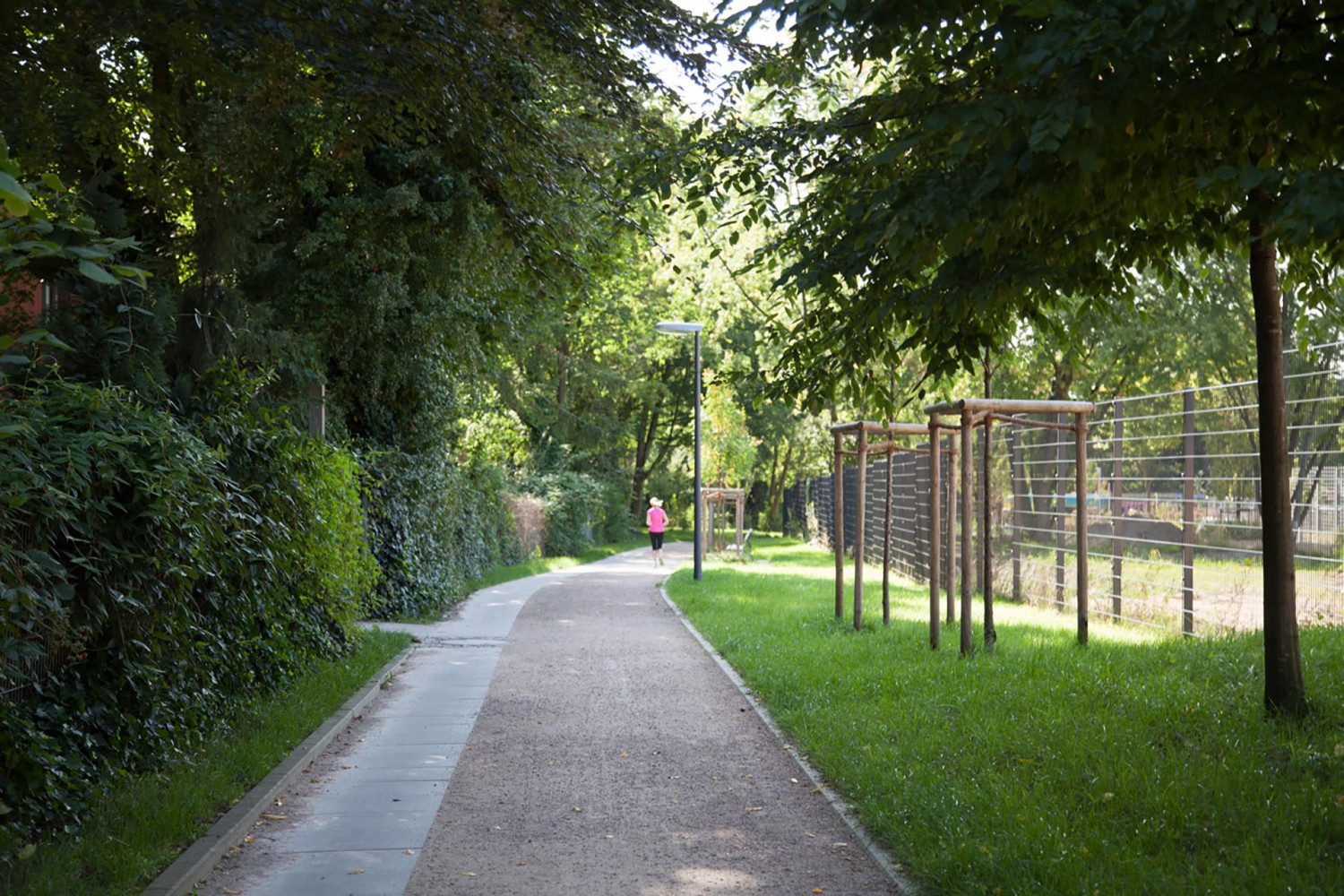 SN_MG_1265 Naumann – Landschaft