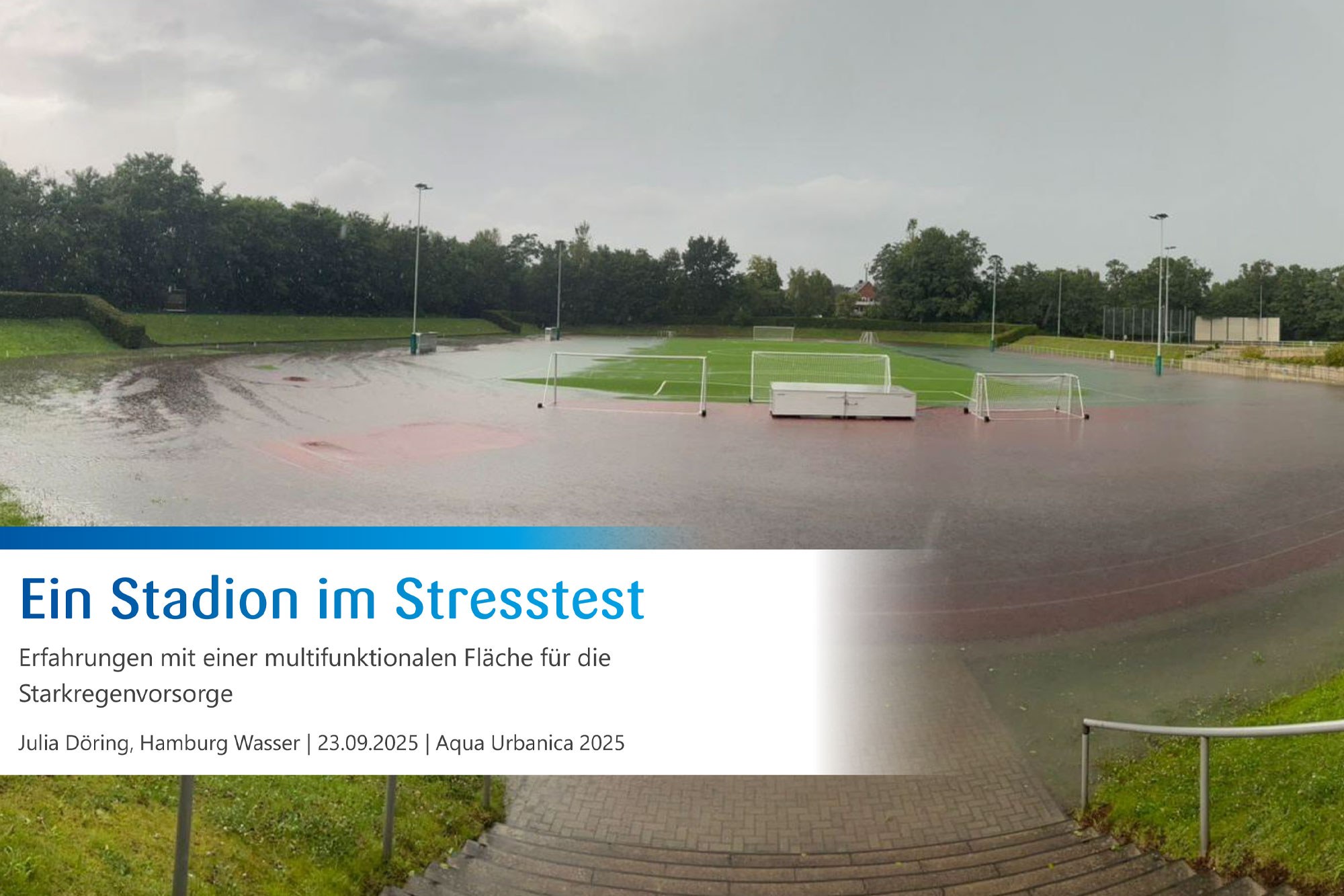  Naumann – Landschaft