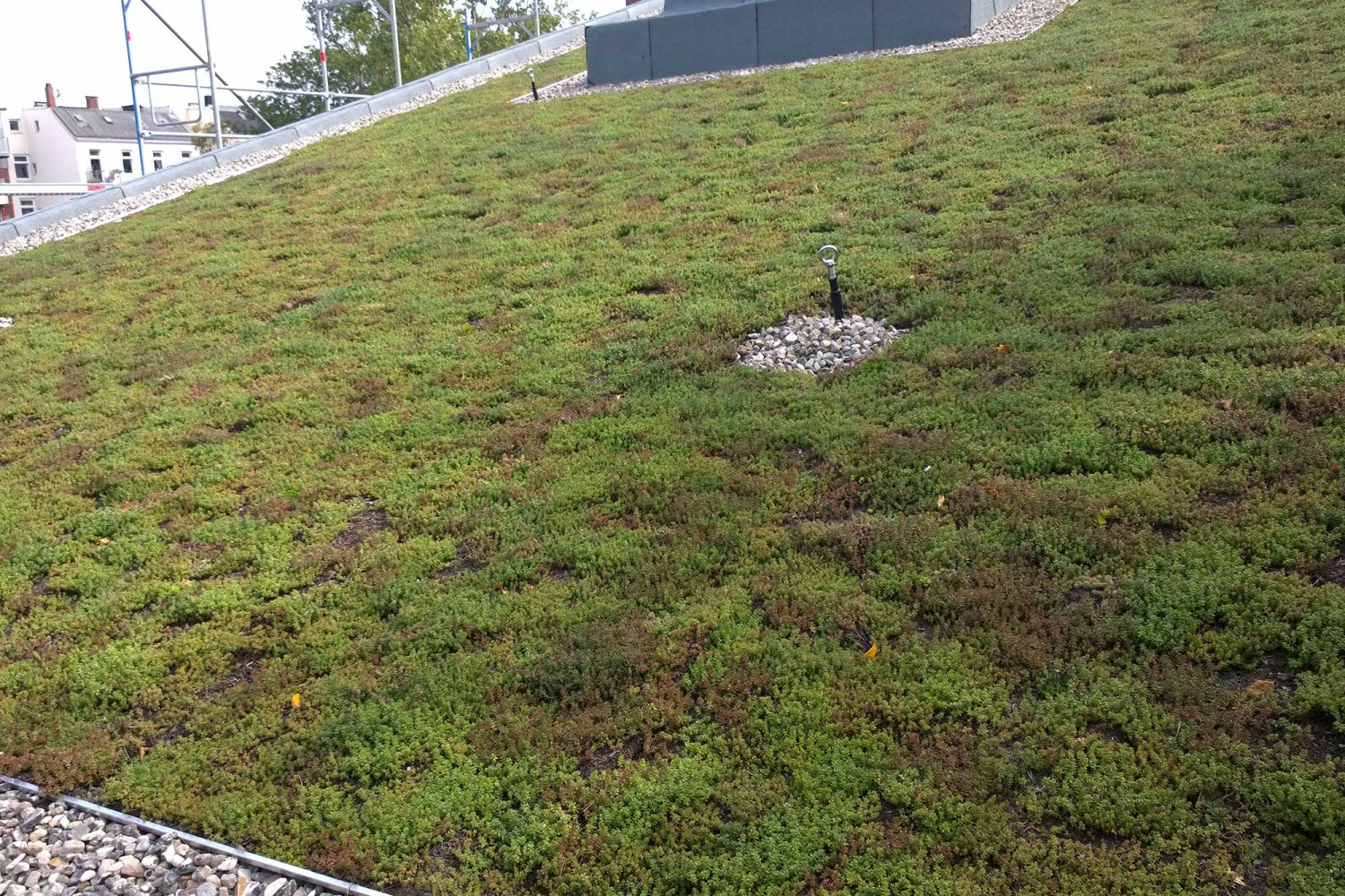 bo__WP_20180910_034_2000x1333 Naumann – Landschaft