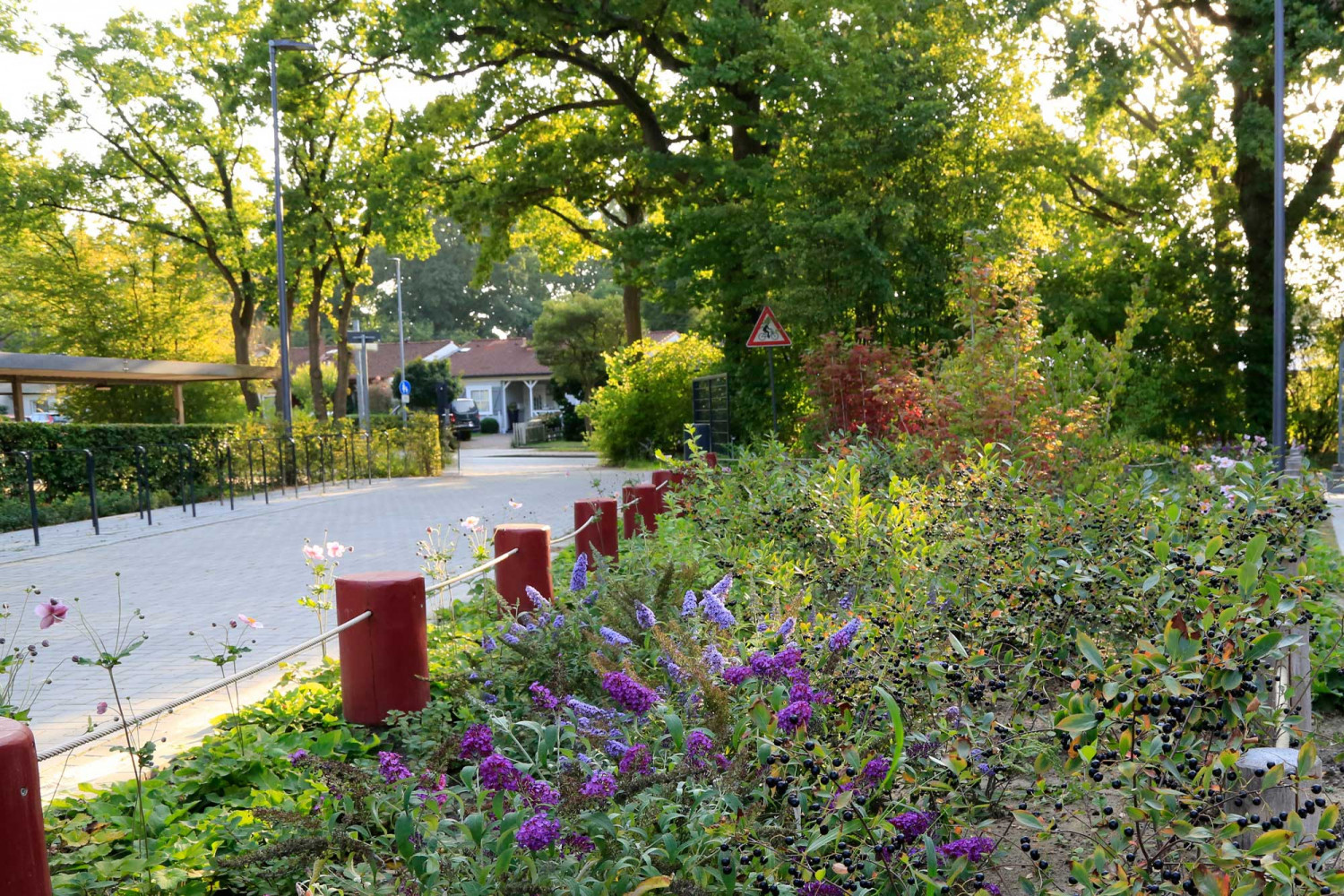 bo_GUGS_POC5181a_2000x1333 Naumann – Landschaft