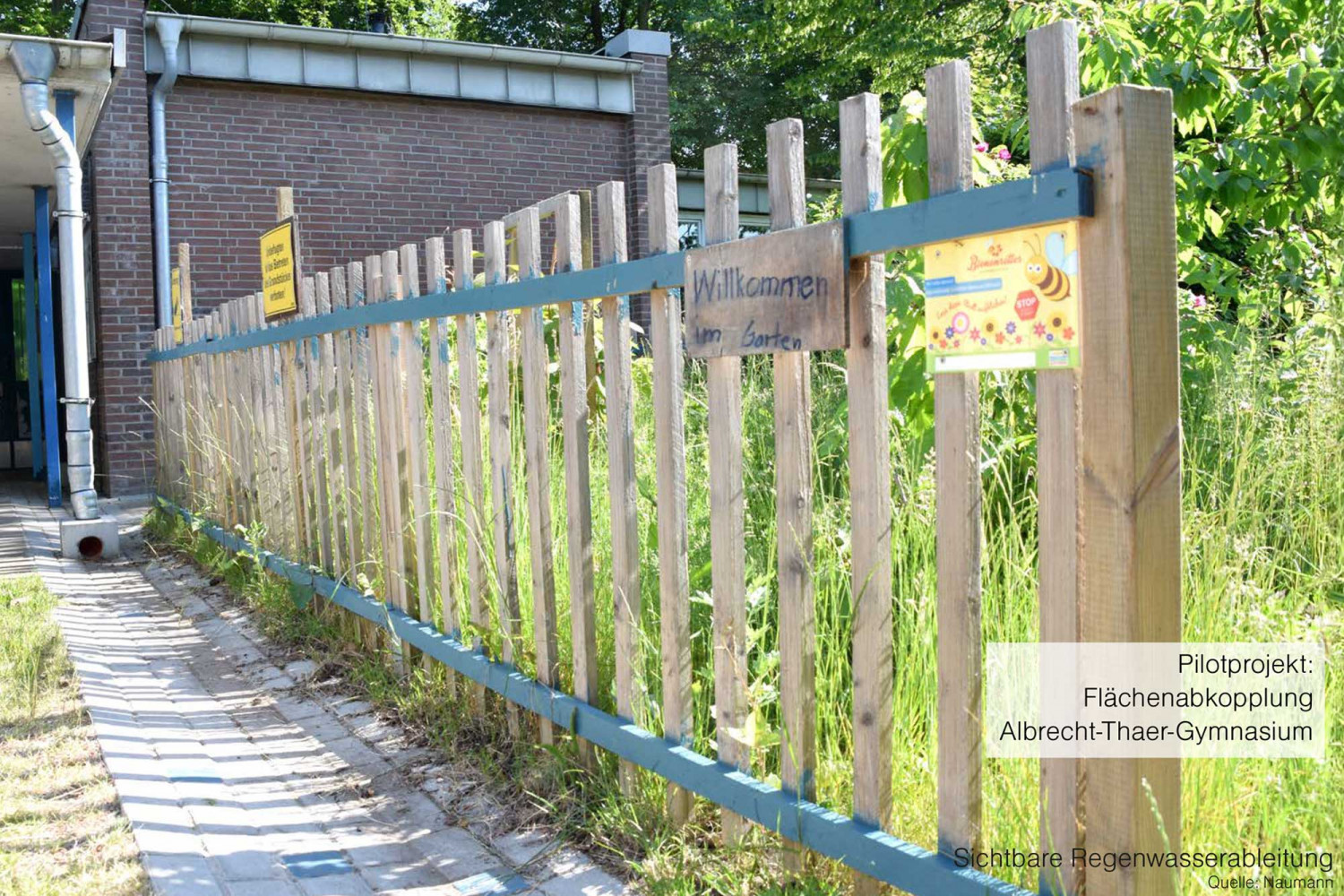 bo_VortragK_2000x1333_2023RisaSBHHH2O_02 Naumann – Landschaft