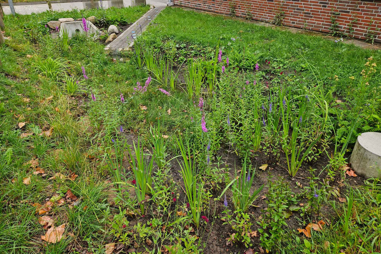 bo_VortragK_2000x1333_2024Entw Naumann – Landschaft