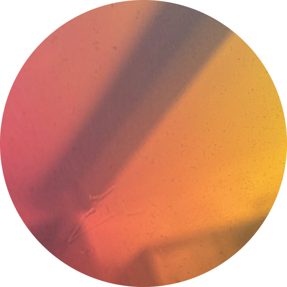 bo_Mitarbeiter_Alternativ_11b_1000x1000 Naumann – Landschaft